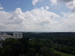 Eco Sanctuary (D23), Condominium #199966072